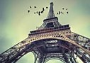  Pintdecor G2116 La torre di Parigi