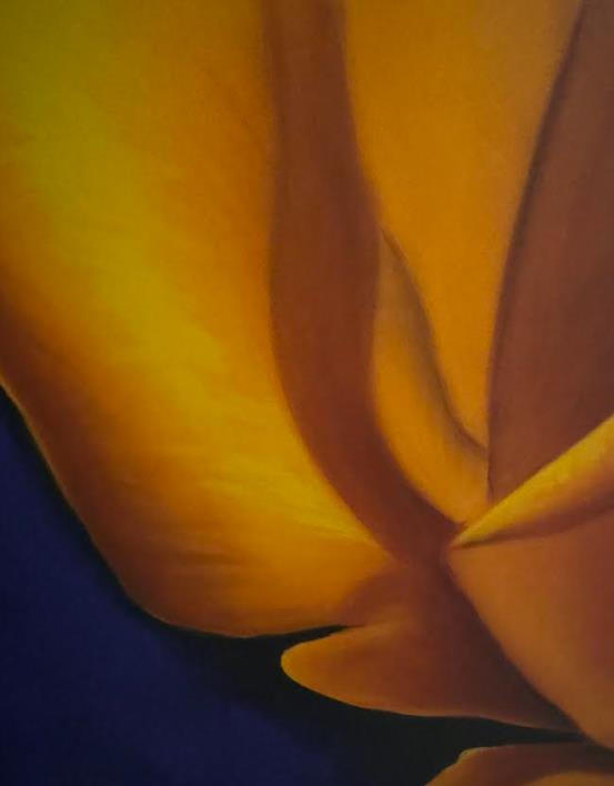 ������� ��������� ������ ������ ����