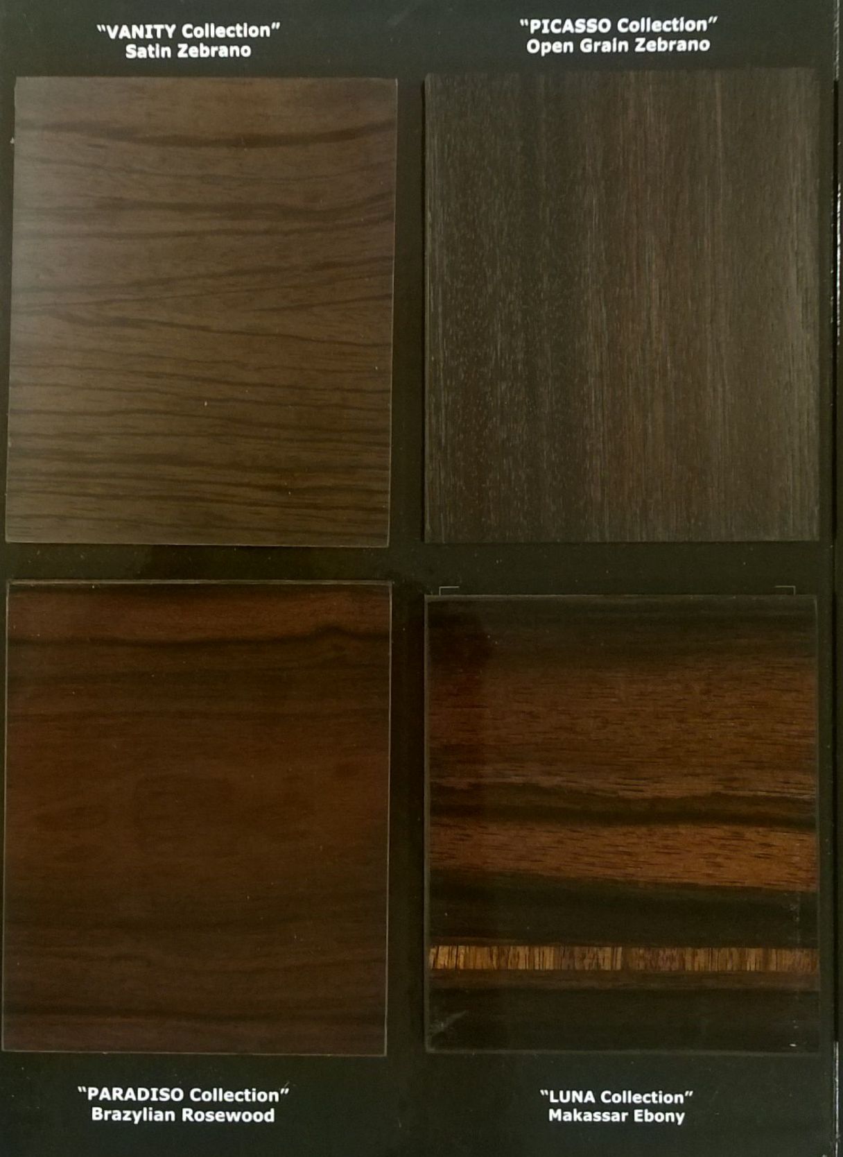 ��� Giorgio Collection 6900