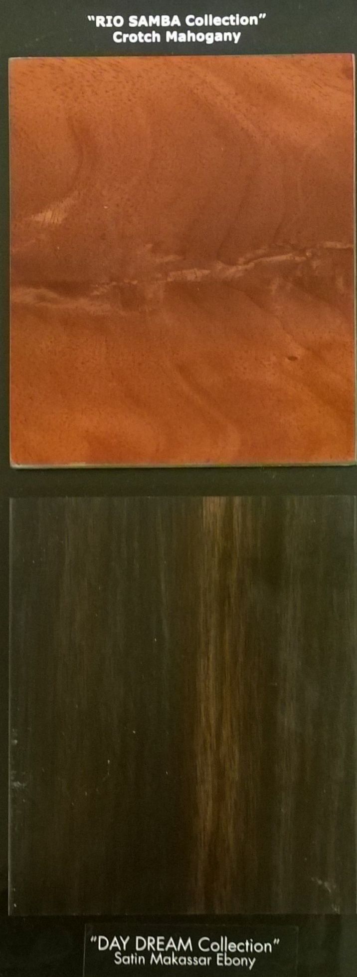 ����� Giorgio Collection 6810