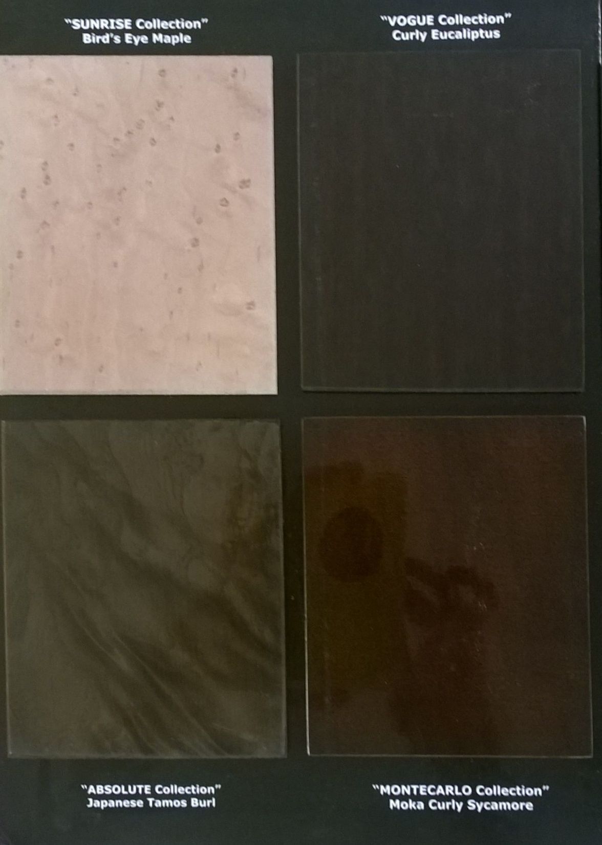 ����� Giorgio Collection 6810