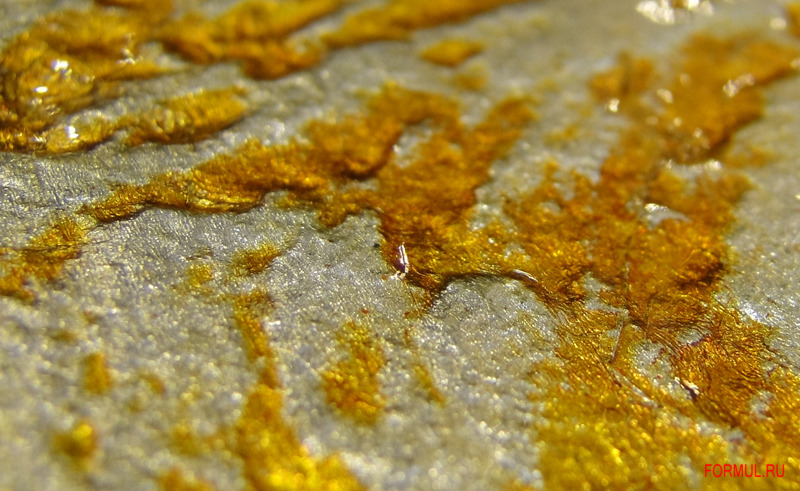 ������� Pintdecor Polluce PL 12386