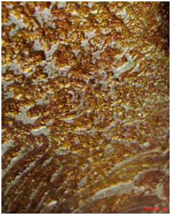 Зеркало Pintdecor Vega PL 13488 Зеркало Pintdecor Vega PL 13488