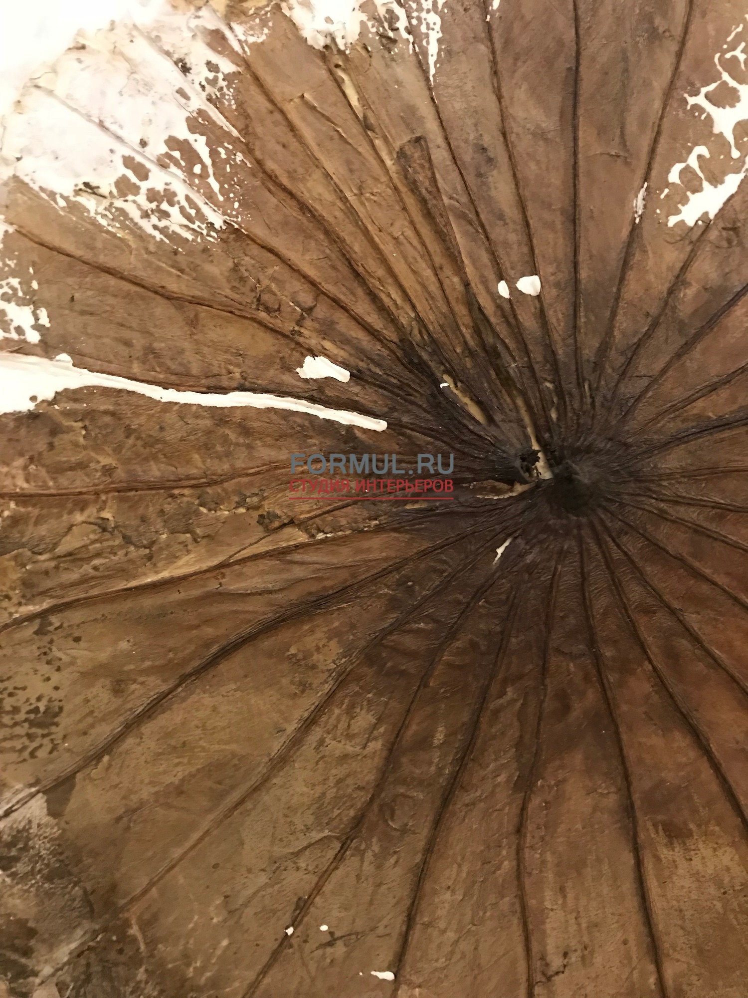 ������� ��������� ������ ���������