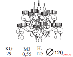  Florence collections A38