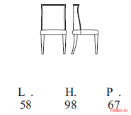  Florence collections A39