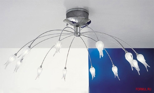  Aureliano Toso Zashi