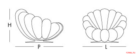 ������ Giovannetti Anemone