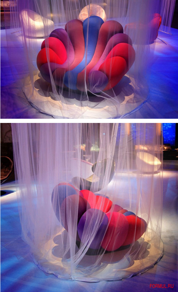 ������ Giovannetti Anemone