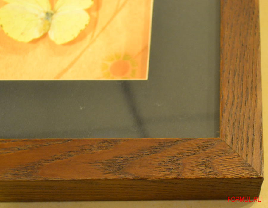 ����� ��������� ������ �������