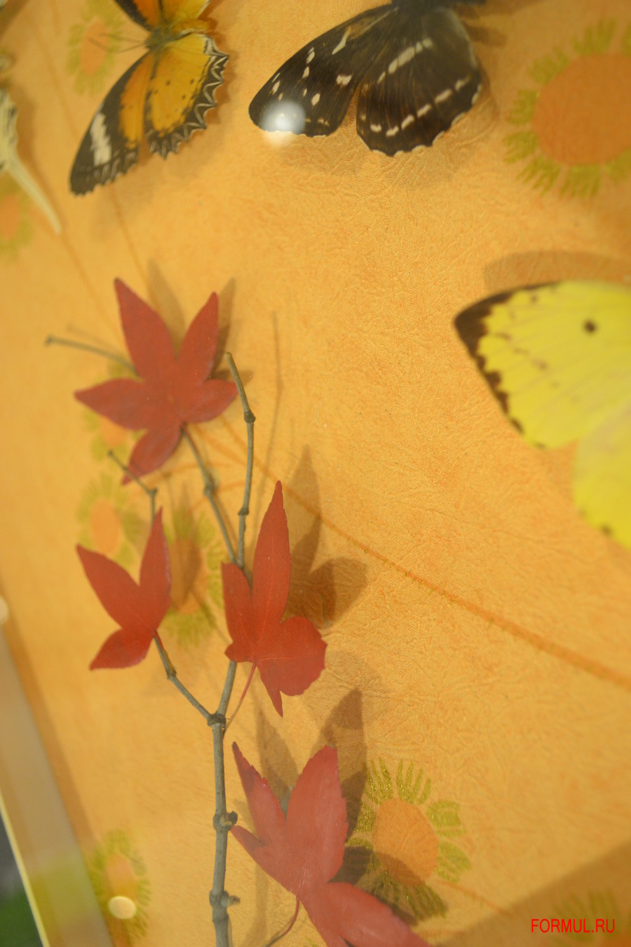 ����� ��������� ������ �������