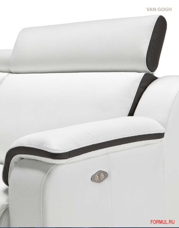 ������ Nicoline VAN GOGH