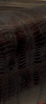 ���� ���������� Visionnaire Rhonin