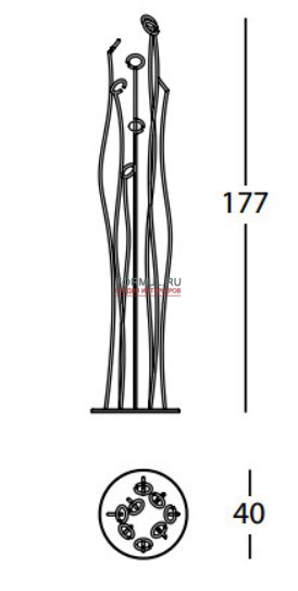  Tonin Casa ALGA - T/7416 (carbon)