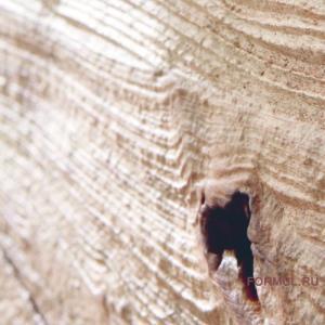 �������� Hartmann TALIS