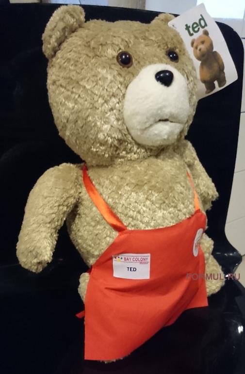 ������� ��������� ��������� ������ TED