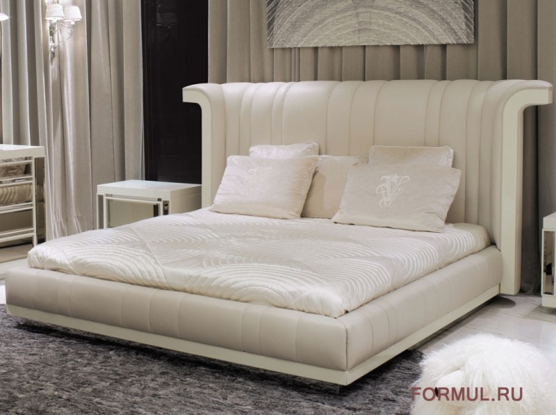  Visionnaire Porfirio