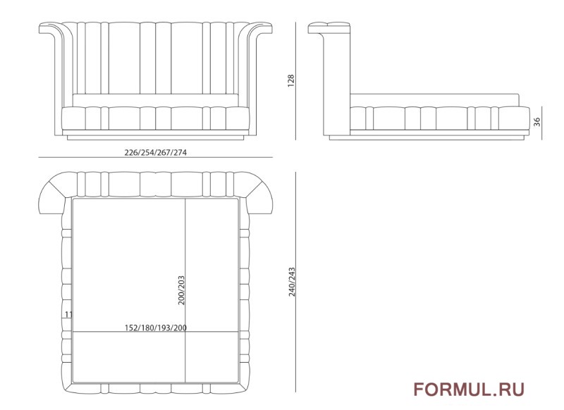  Visionnaire Porfirio