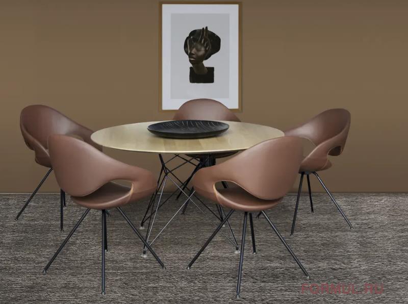 ���� Tonon Arcos