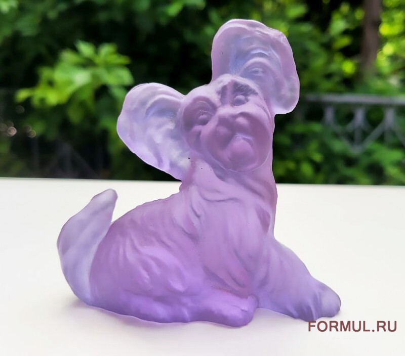 ��������� ��������� ������ Skye Terrier