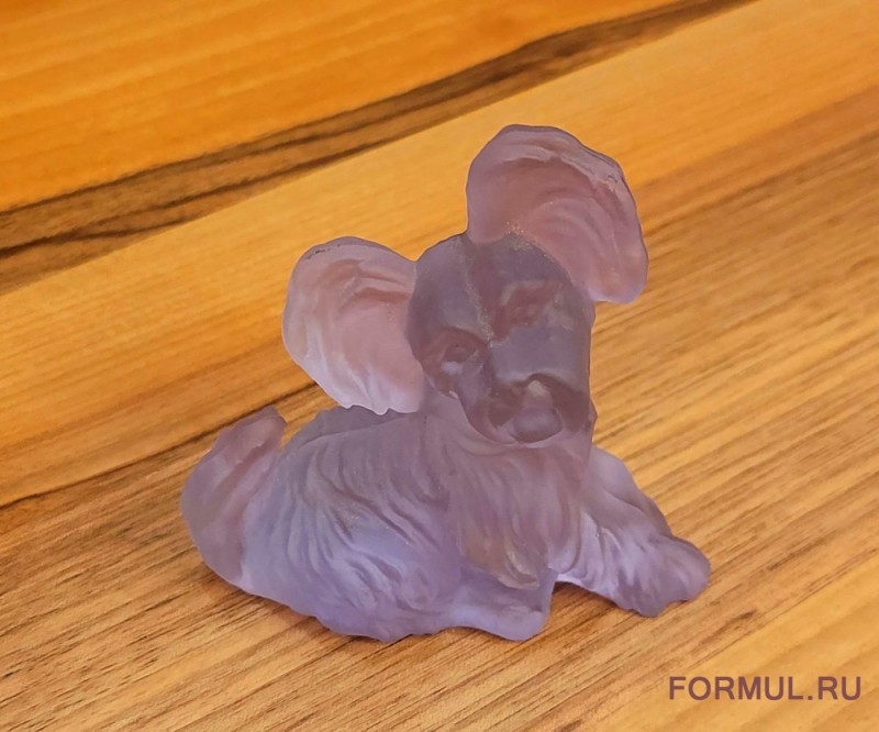 ��������� ��������� ������ Skye Terrier