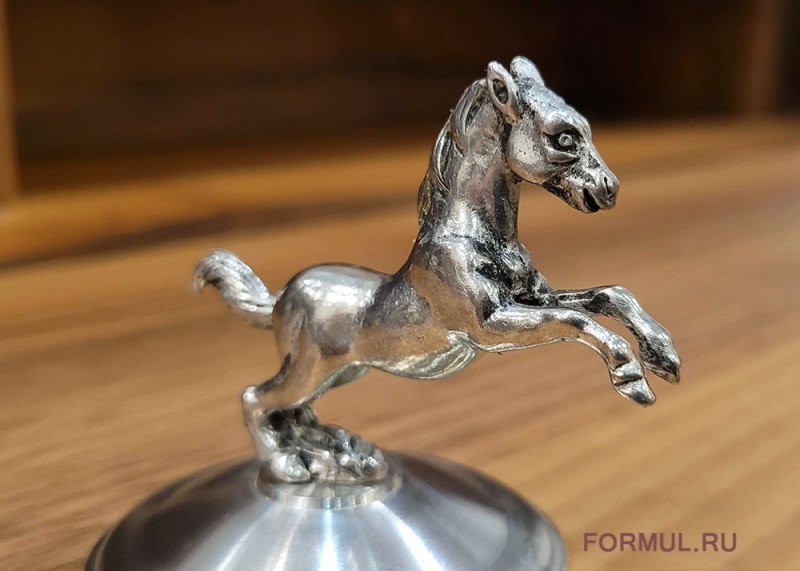 ��������� ��������� ������ ����