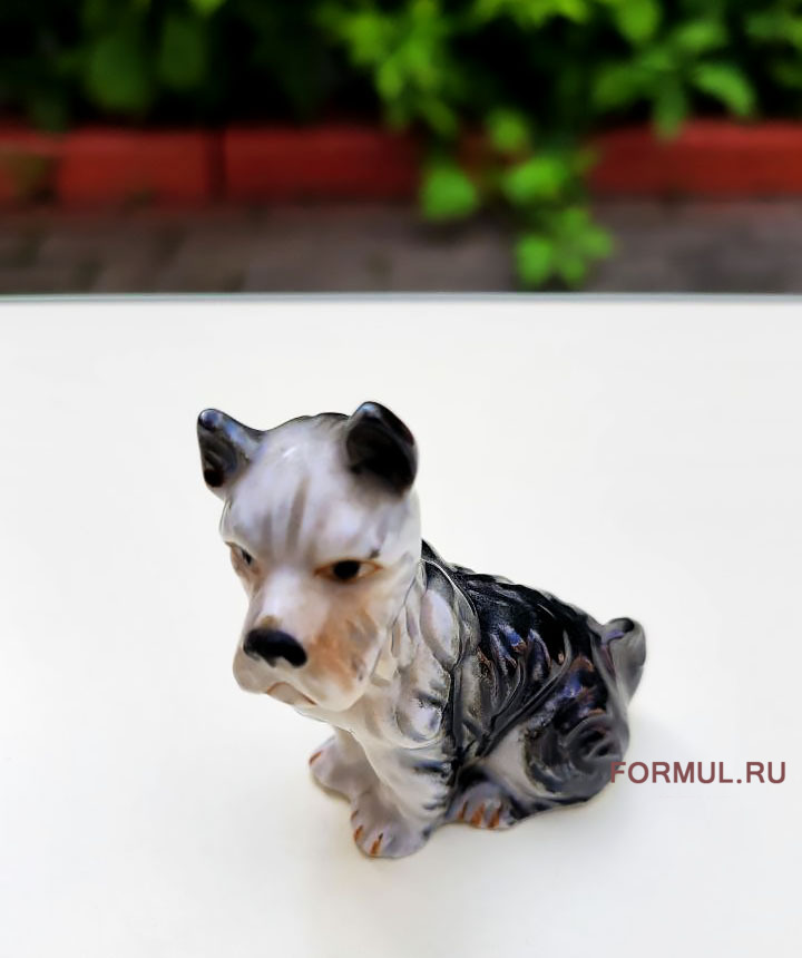 ��������� ��������� ������ �������