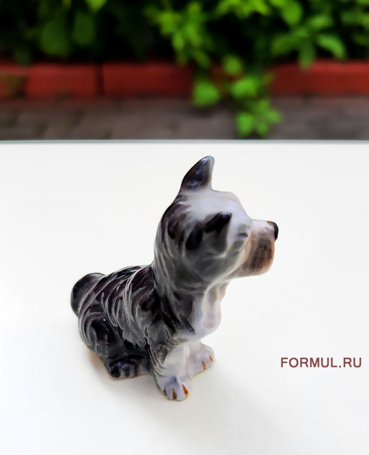 ��������� ��������� ������ �������