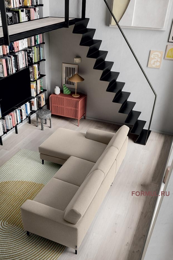 ����� Felis Liam