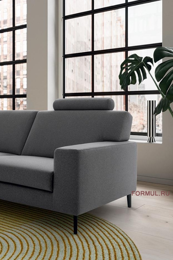 ����� Felis Liam