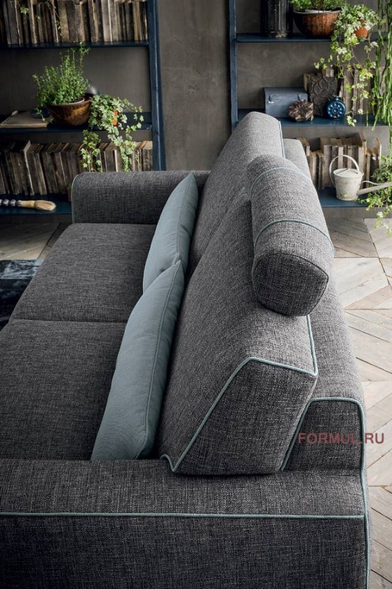 ����� Felis Newman