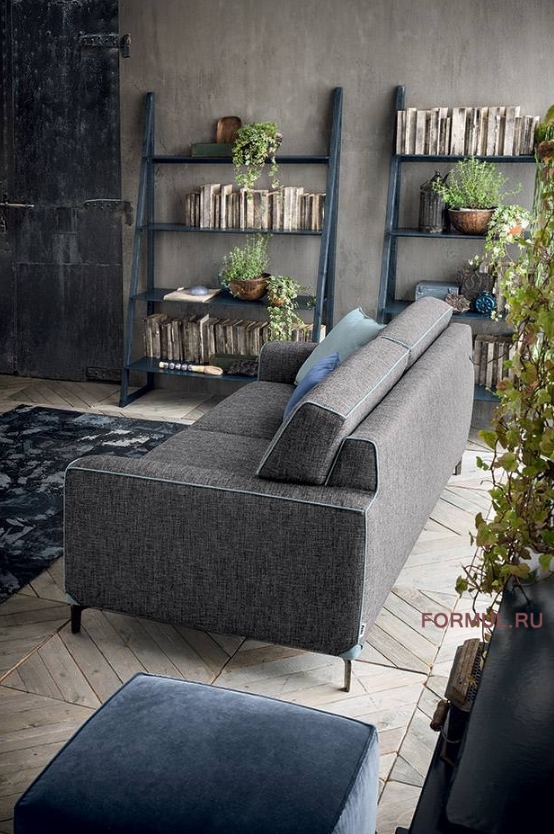 ����� Felis Newman