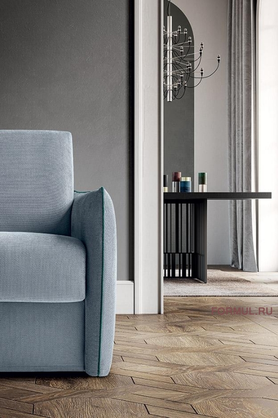 ����� ������� Felis Amadeus