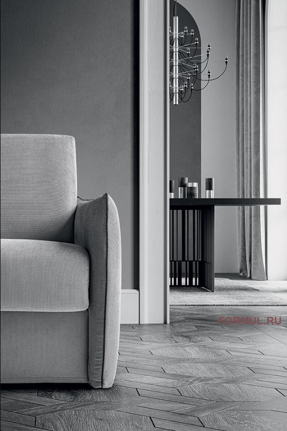 ����� ������� Felis Amadeus