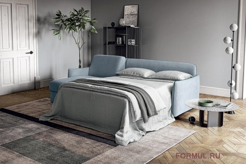 ����� ������� Felis Amadeus