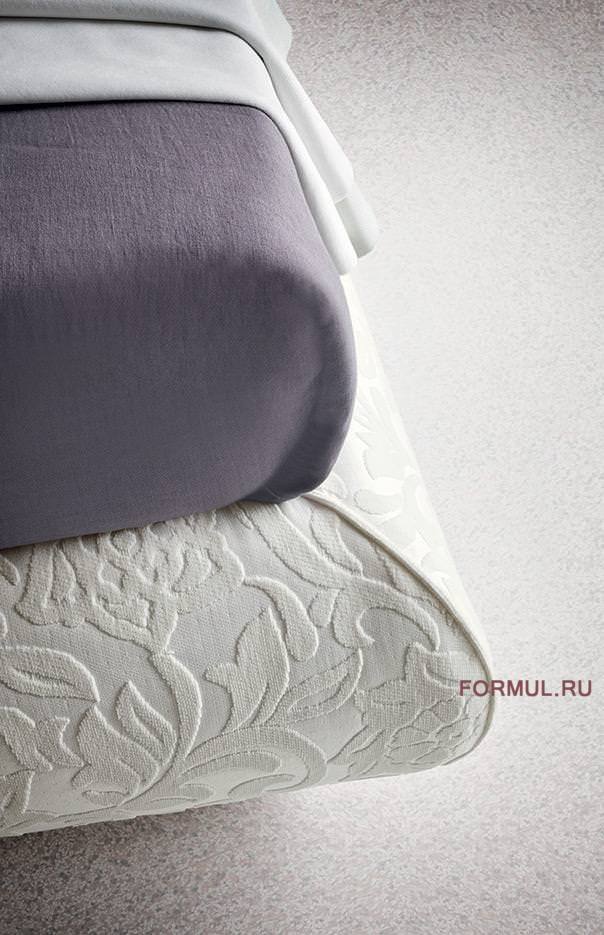 ������� Felis Jason