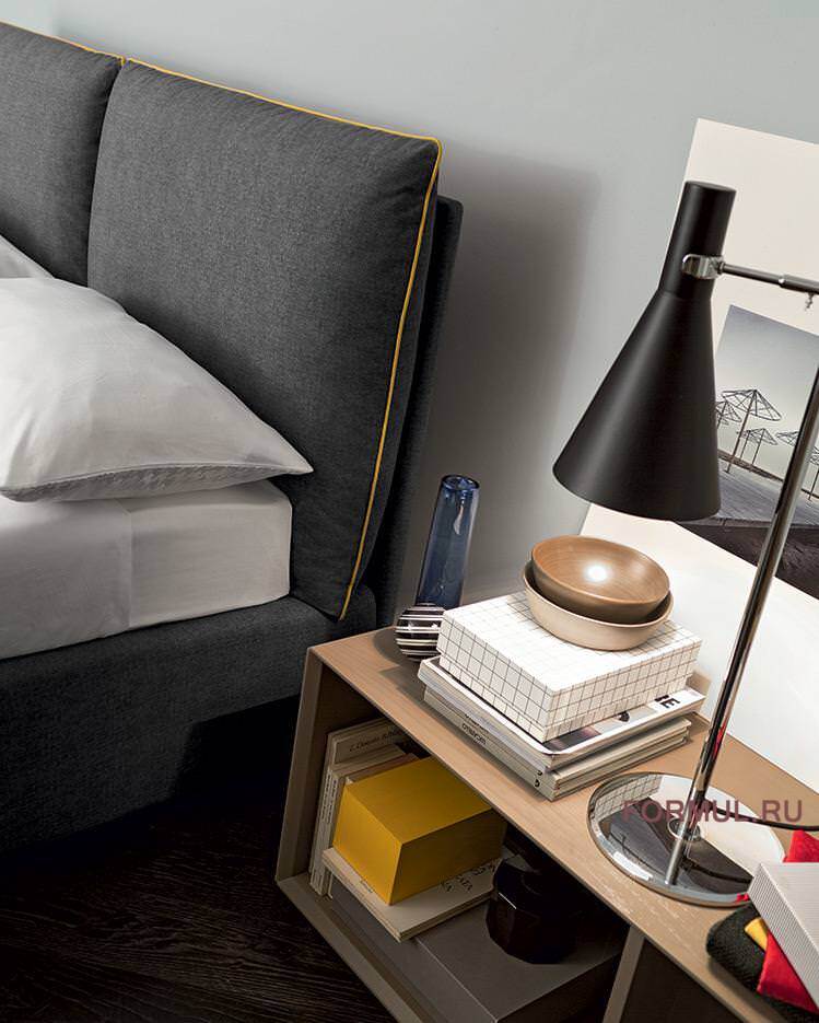 ������� Felis Luis