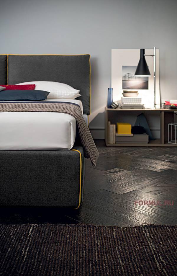 ������� Felis Luis