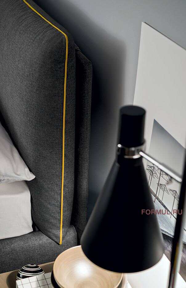 ������� Felis Luis