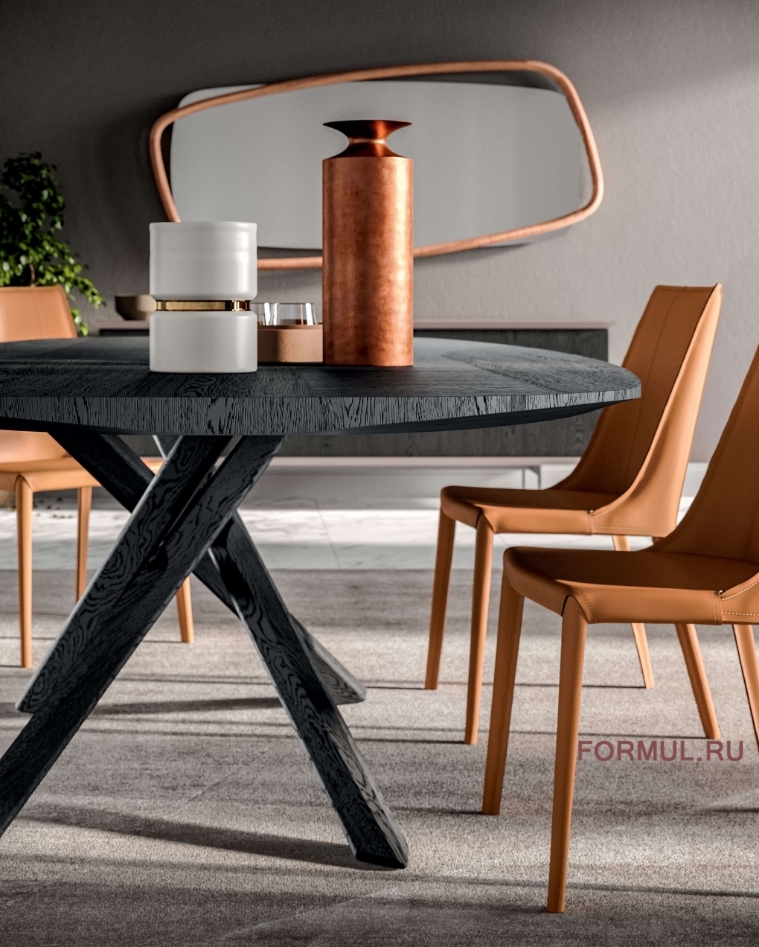 ���� Ozzio Arizona