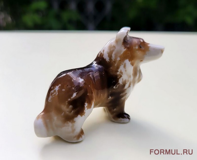 ��������� ��������� ������ ������ �����