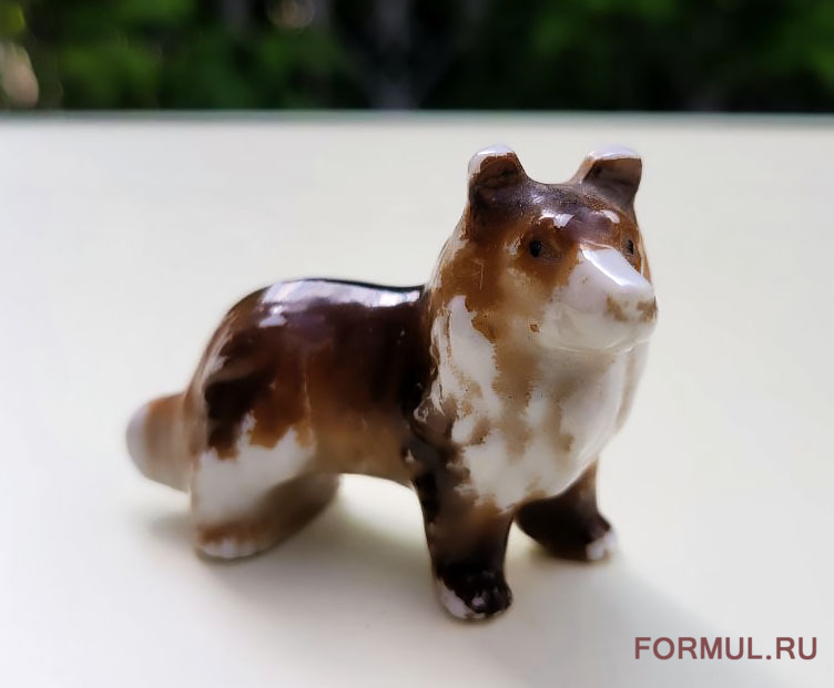 ��������� ��������� ������ ������ �����