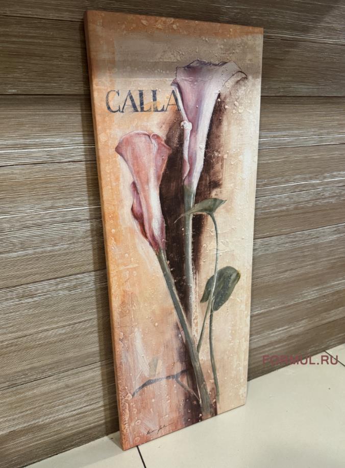    Calla Lily
