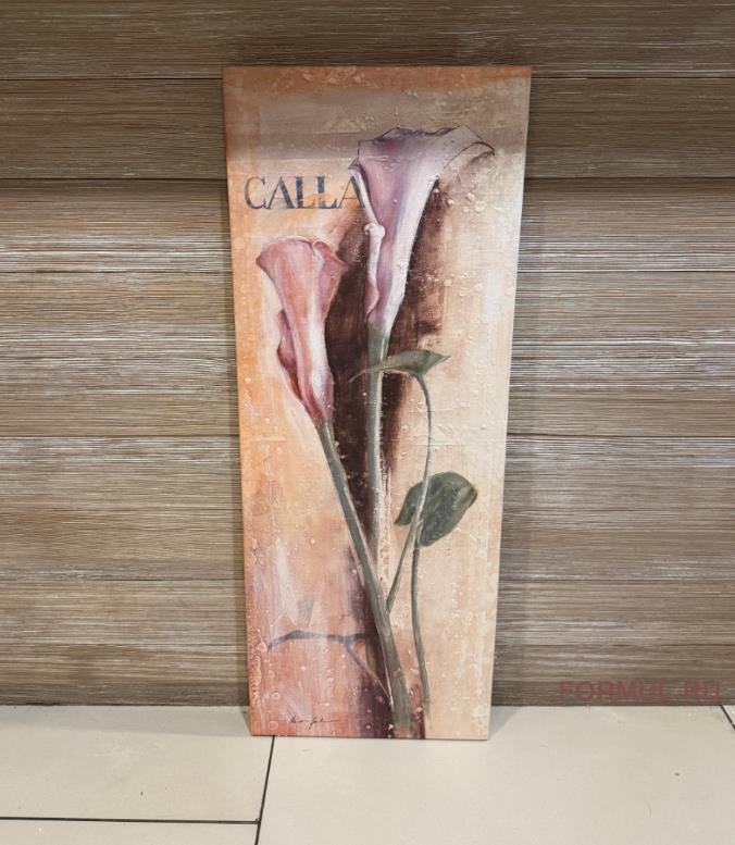   Calla Lily