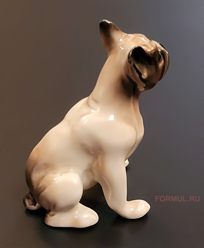 ��������� ��������� ������ ����������� �������