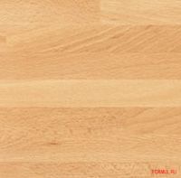 5336 Buche-Nachbildung